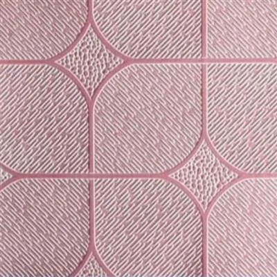 Gypsum Board Surface Film